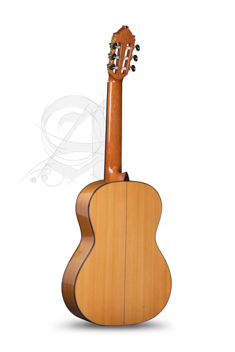 Concert 8Fc Flamenco + 9557 Etui