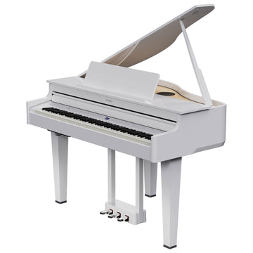 GP-6 Blanc