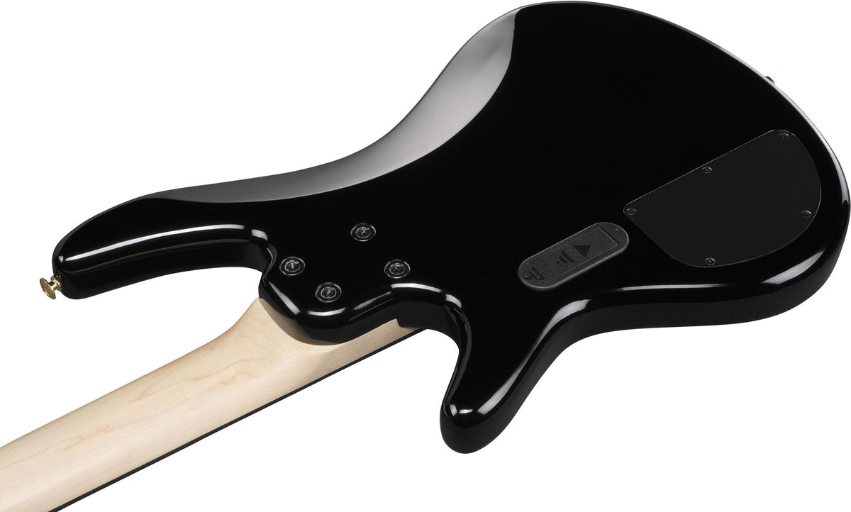GSR205PCTPB Transparent Pale Black Burst