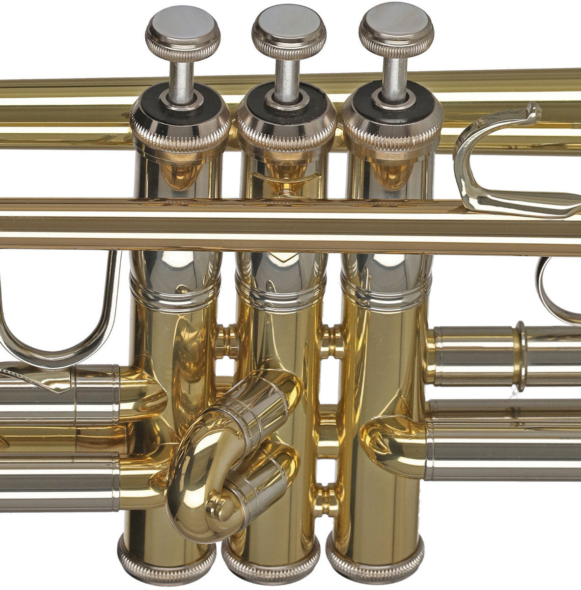 Ambition TR501 Sib Vernie