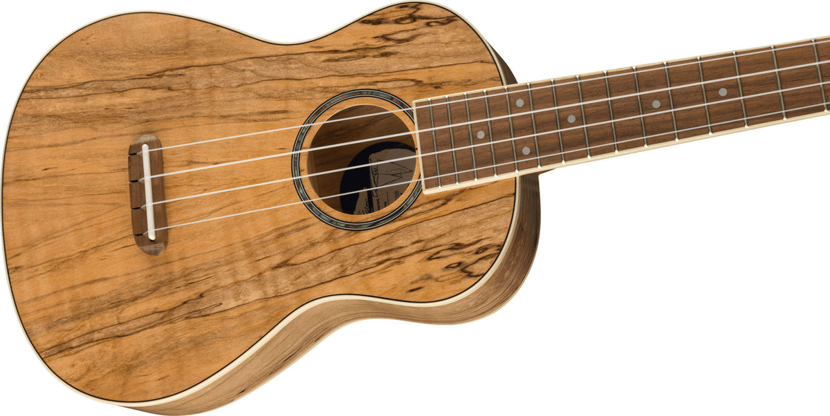 Zuma Uke Exotisch Konzert Wn Spalted Maple