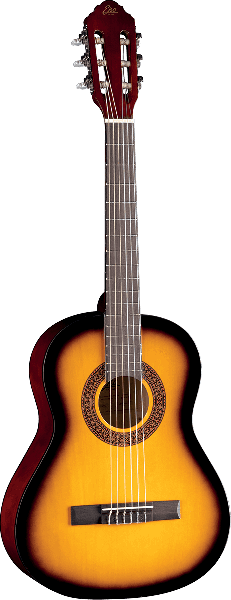 CS-5 3/4 Sunburst + Housse