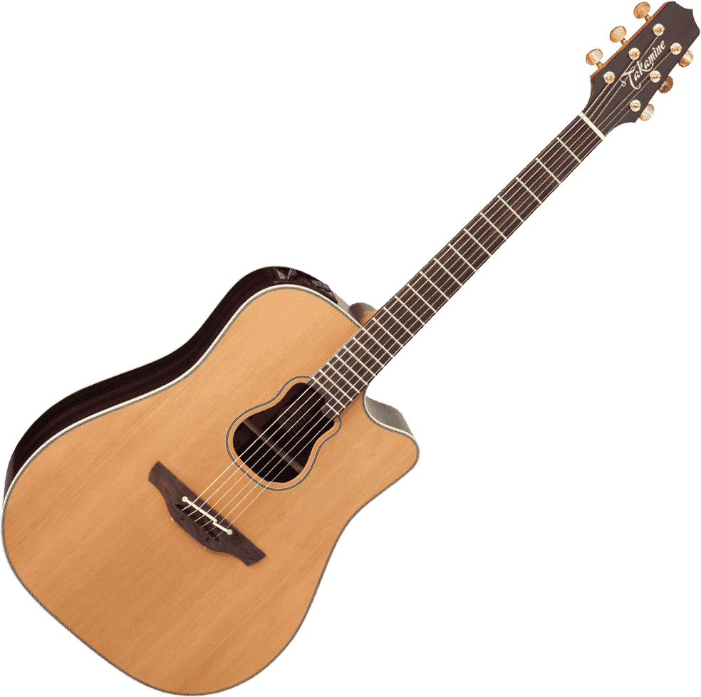 Japon Signature Garth Brooks Dreadnought Electro