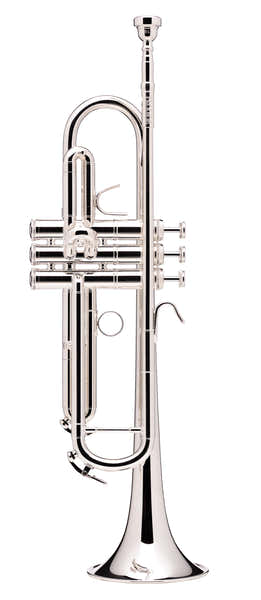 Prodige Sib Argentata (Canneggio Inverso) - BS210LR-2-0