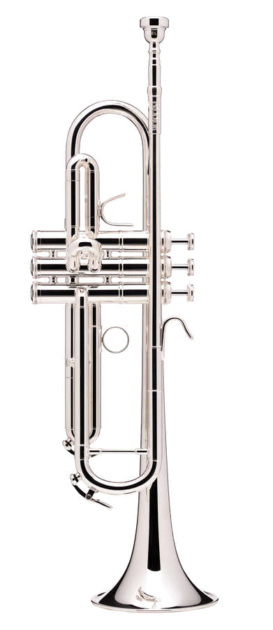 Prodige Sib Argentée (Branche Inversée) - BS210LR-2-0