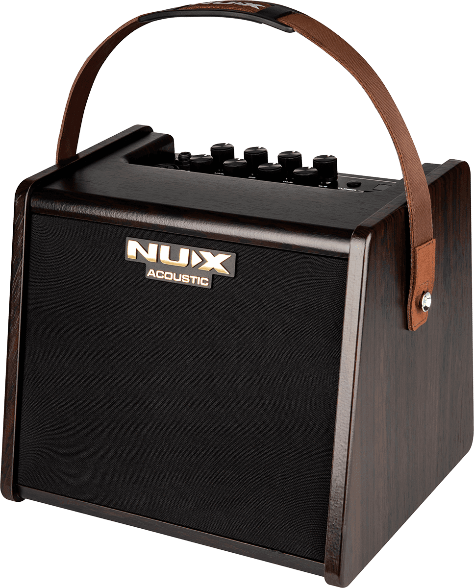 25 WATT ACOUSTIC AMP ON 2 CHANNEL BATTERY + EFFECTS