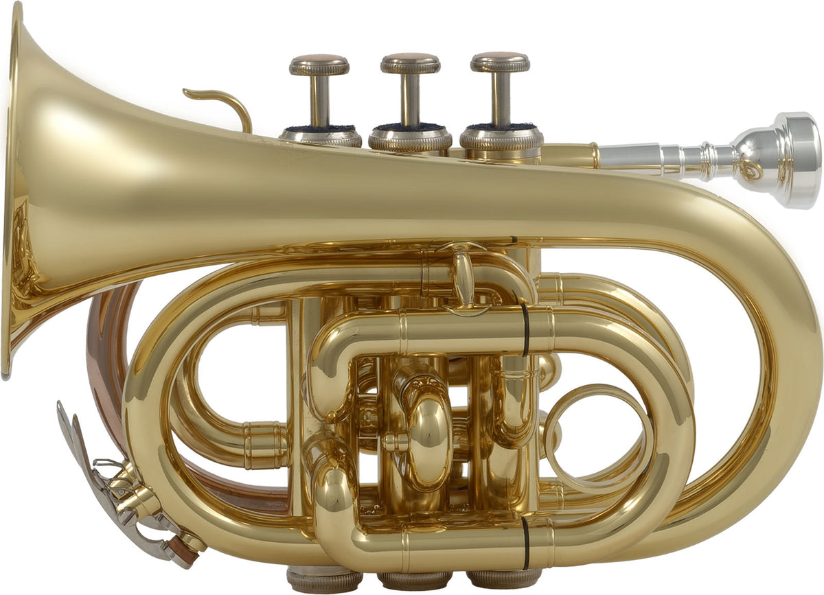 WTP200P - Sib verniciato