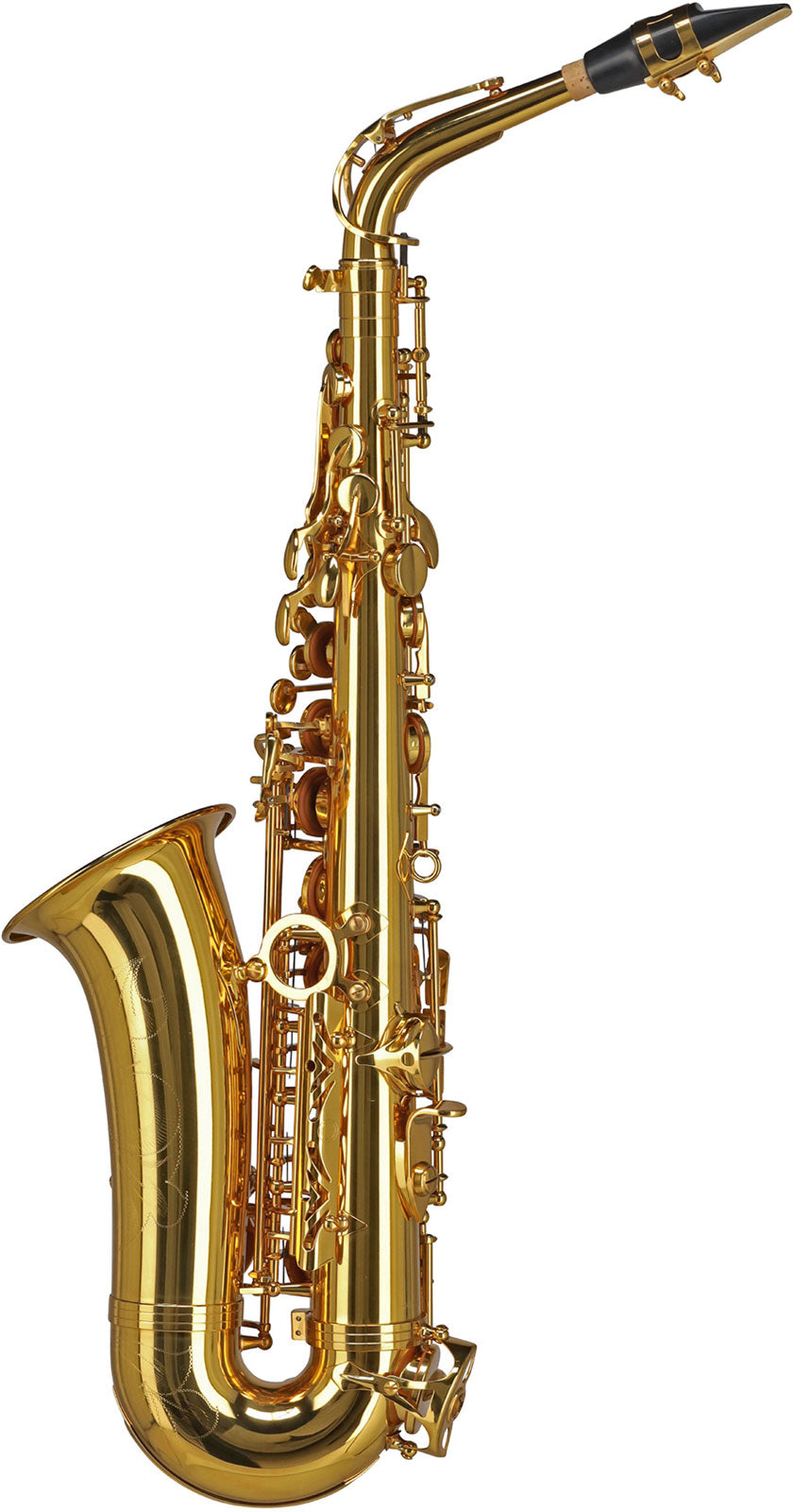 Ambition AS501 Alto Mib Verni