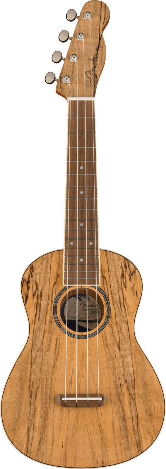 Zuma Uke Exotisch Konzert Wn Spalted Maple