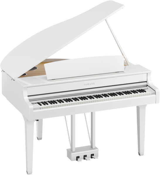 CLP895GP Weiß