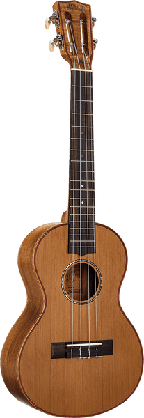 Naturbelassener Tenor + Tasche