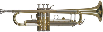 Ambition TR501 Sib Vernie