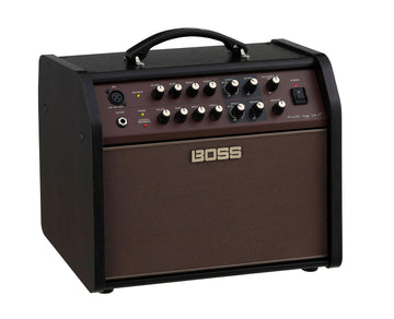 Acoustic Singer Live LT Lite