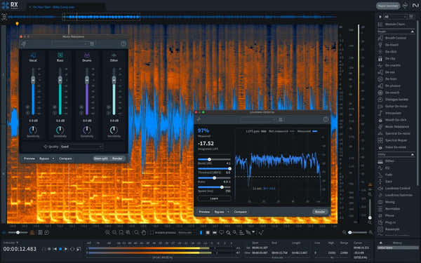 Izotope RX 11 Standard Upgrade RX ST/ADV/PPS
