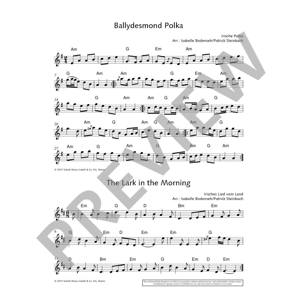 The Irish Flute Book