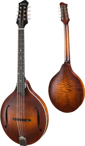 MDO305 Classico