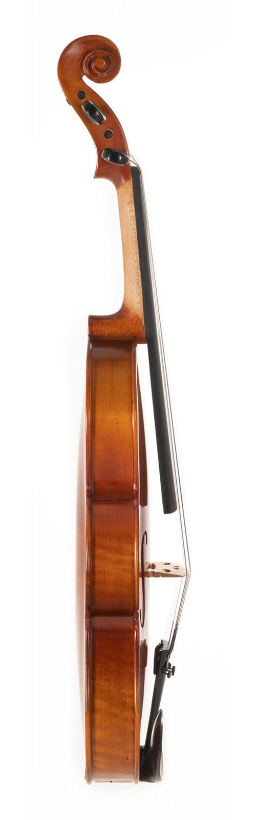 Pure Ew Alto 4/4 (38,2 Cm)