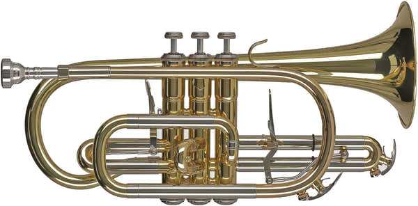 Gewa Ambition CR651 Sib Verni