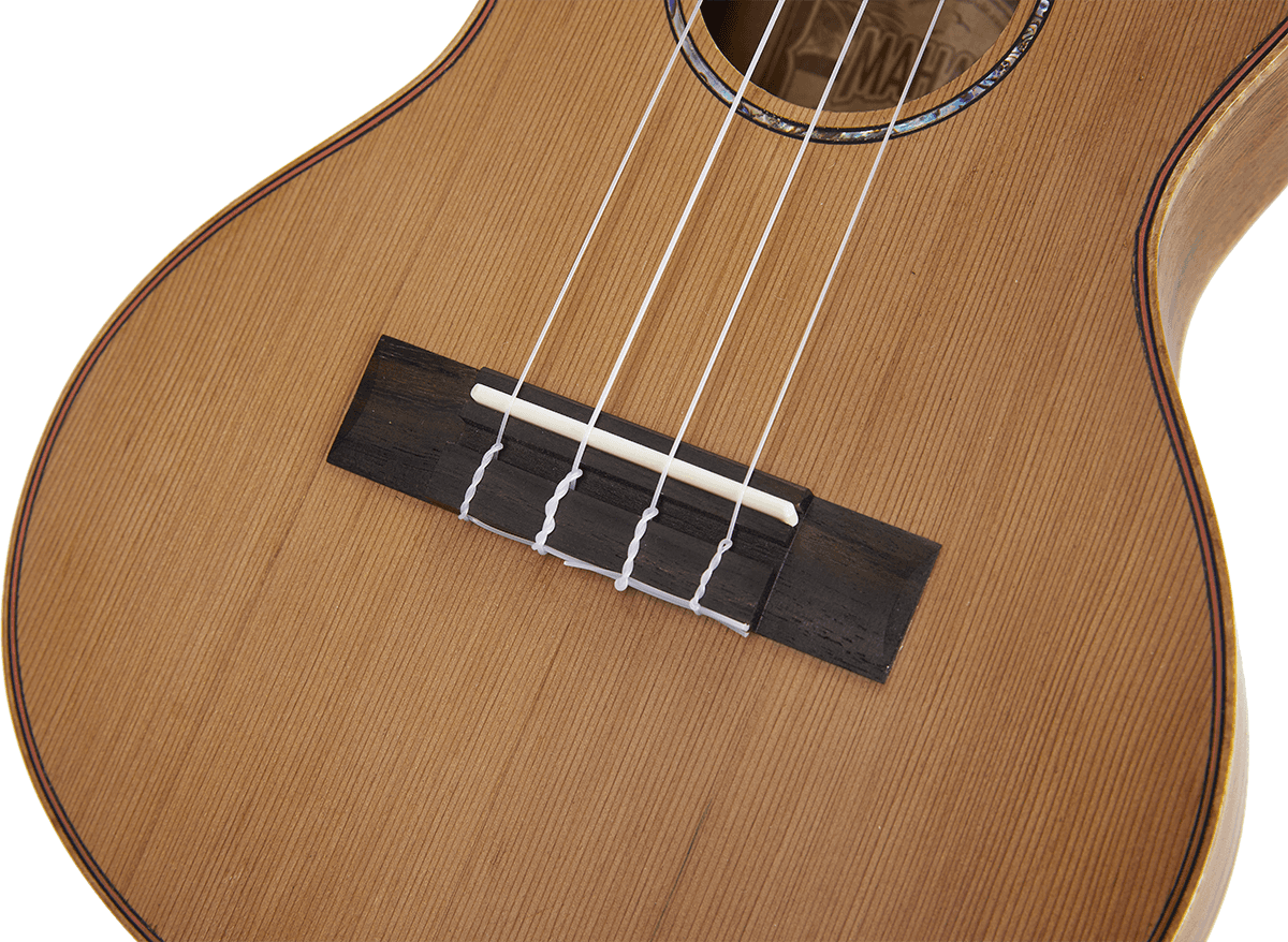 Naturbelassener Tenor + Tasche