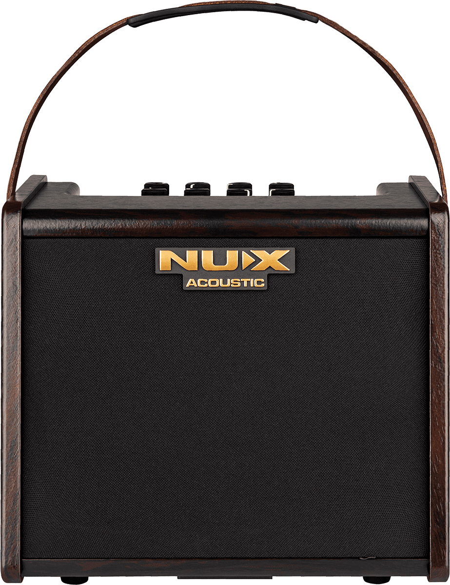25 WATT ACOUSTIC AMP ON 2 CHANNEL BATTERY + EFFECTS