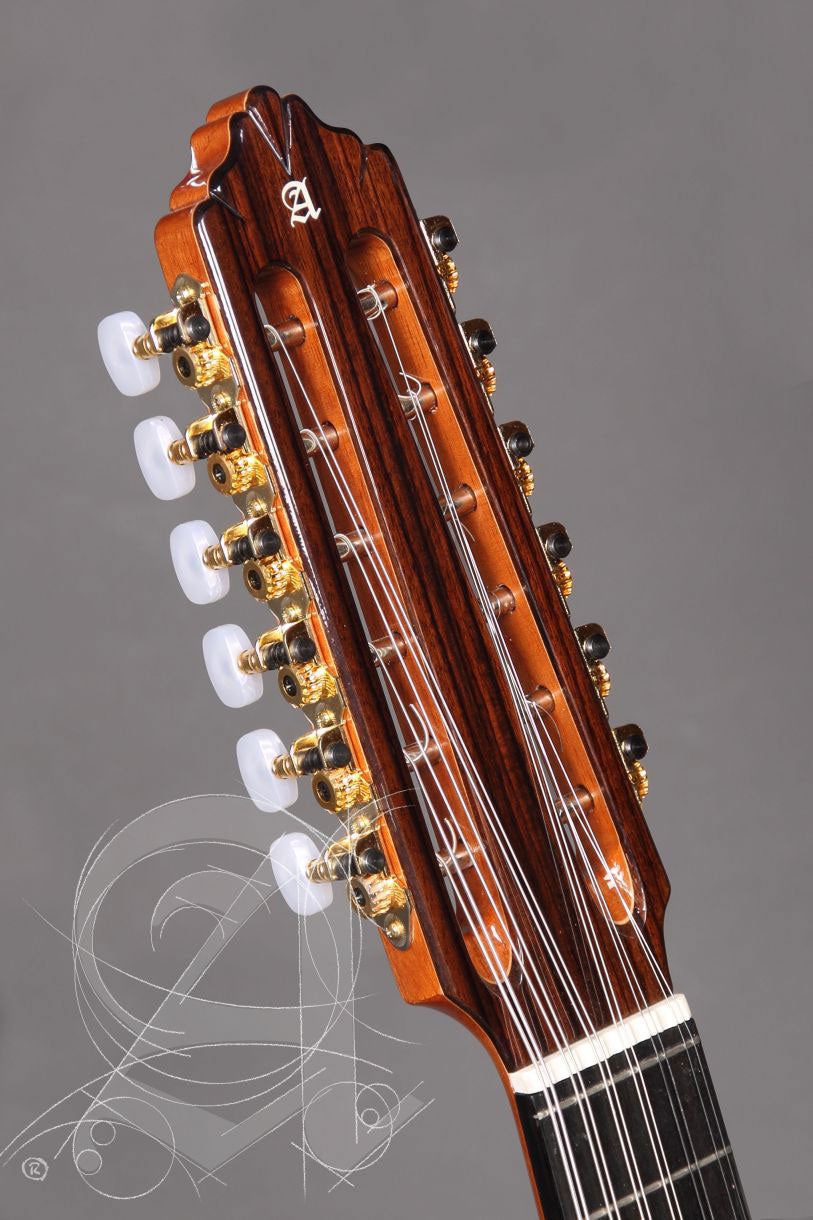 Conservatory L-6P A Lutes + 9534 Gigbag