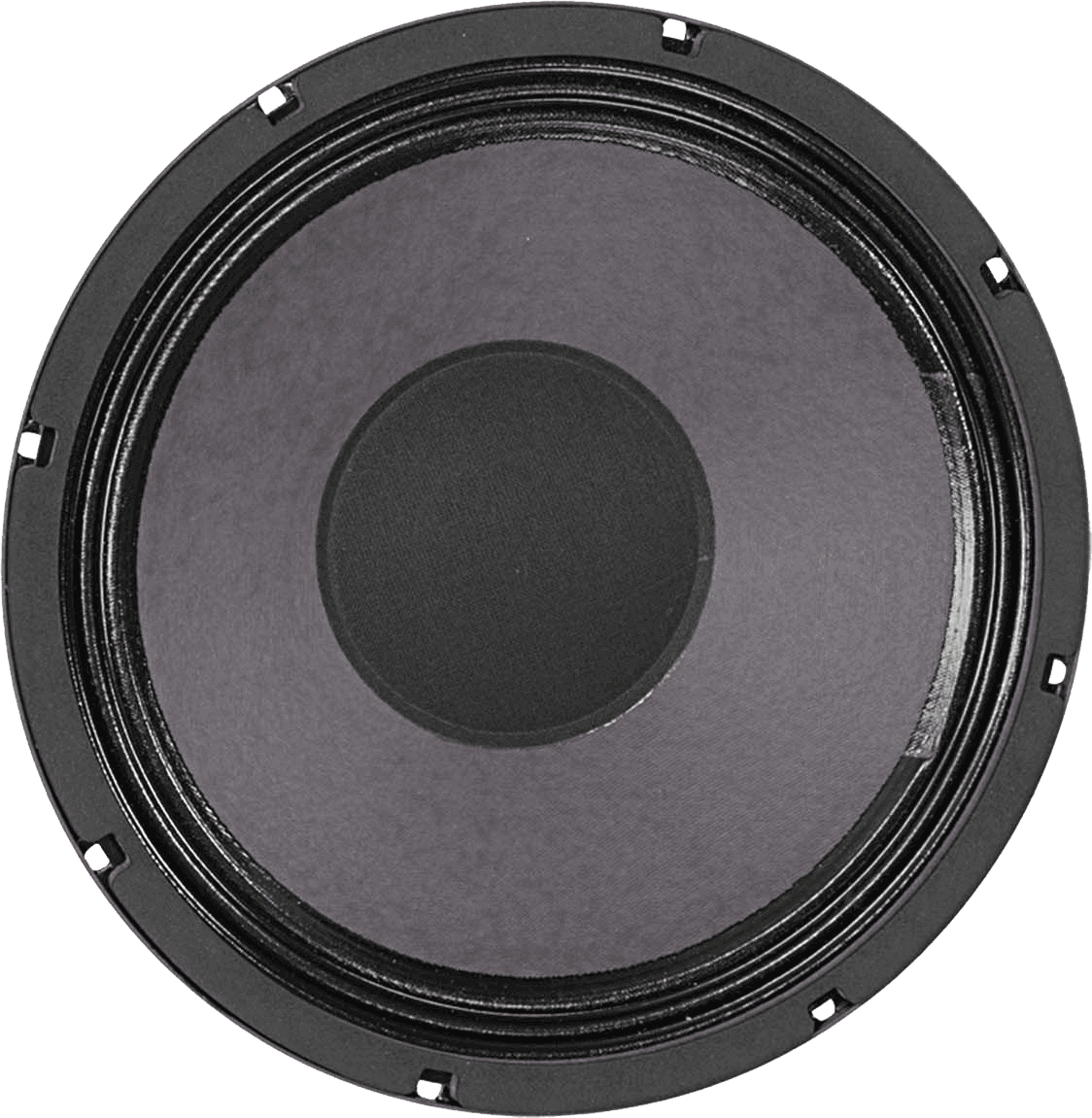 Ragin Cajun 10" 8 Ohms