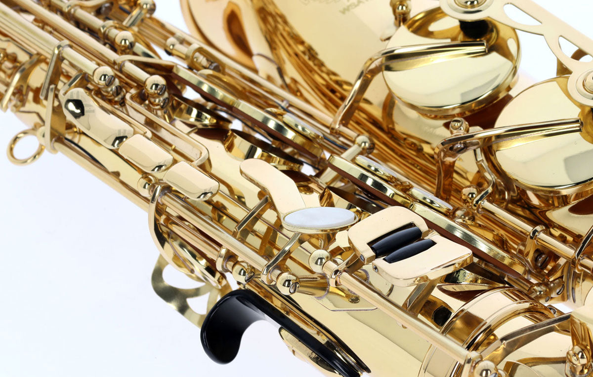 WSA100 - Alto Mi B Verni