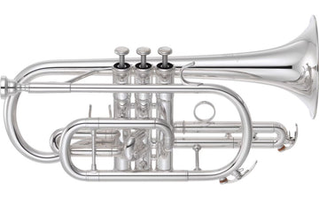 YCR6335SII B Versilbert