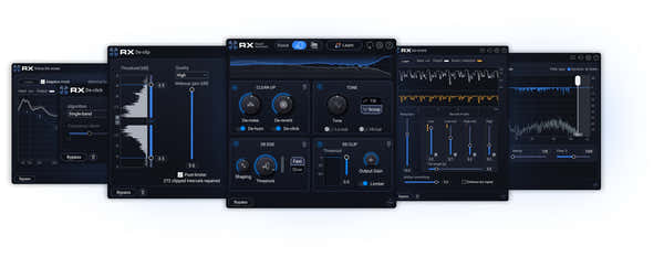 Izotope RX 12 Elements