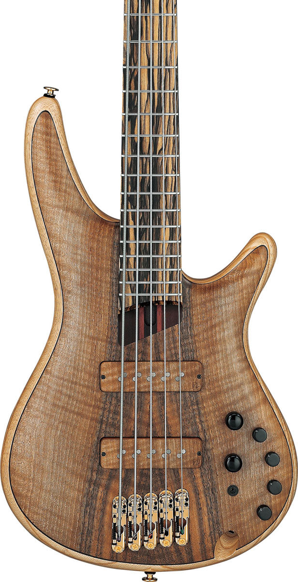 IV1SR Ibanez VISIONS