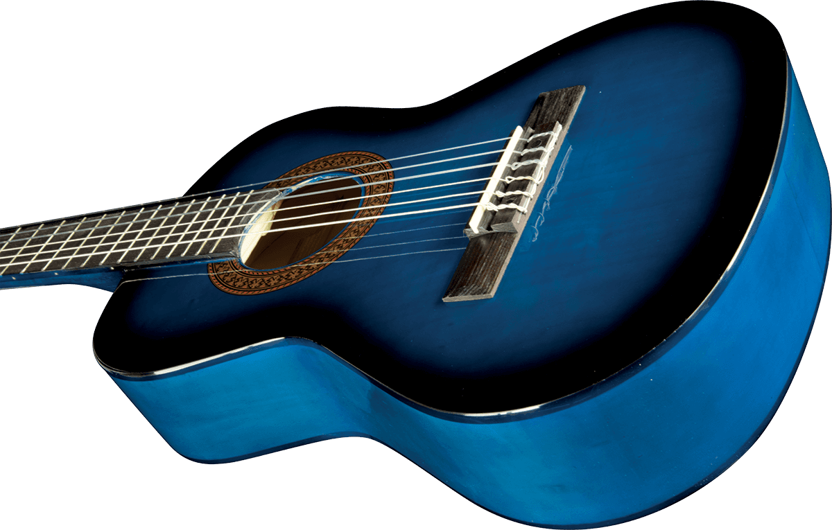 CS-2 1/2 Blue Burst + Housse