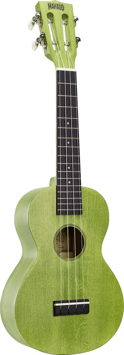 Ukulele Island Concert Sea Green + Hülle