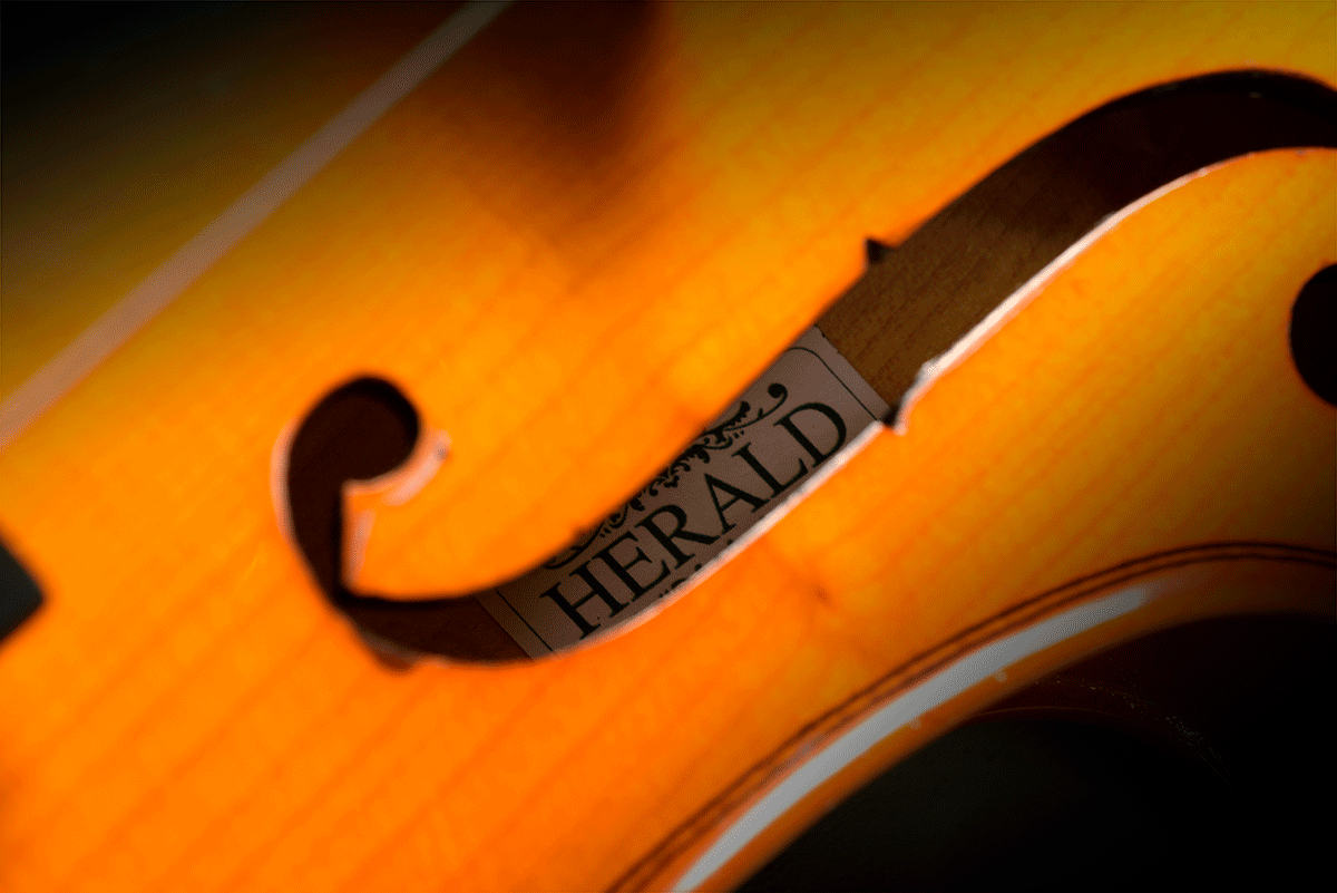 Violon Massif 1/4
