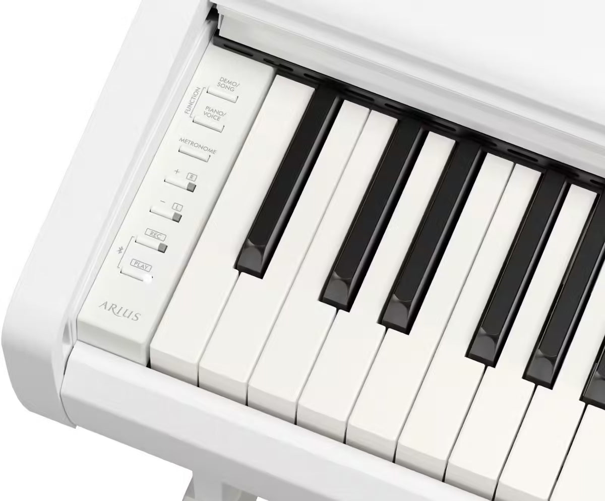 YDP-146 Blanc