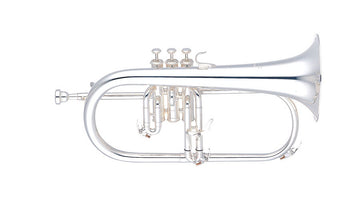 YFH631GS Sib Argentato