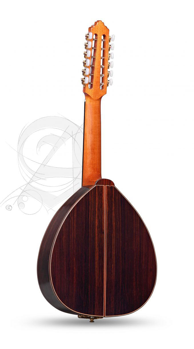 Conservatory L-6P A Lutes + 9534 Gigbag