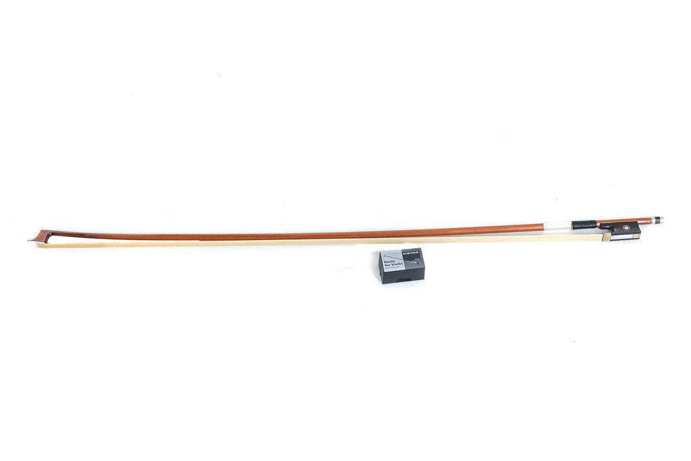 ALTO ALLEGRO-VA1 42.0 CM PREPARED FOR PLAYING PROFILED CASE MASSARANDUBA BOW ALPHAYUE STRINGS