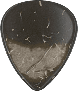 GUITAR  COCKLE COCONUT