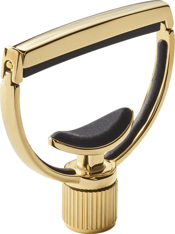 Heritage Chitarra Style 1 Standard Oro