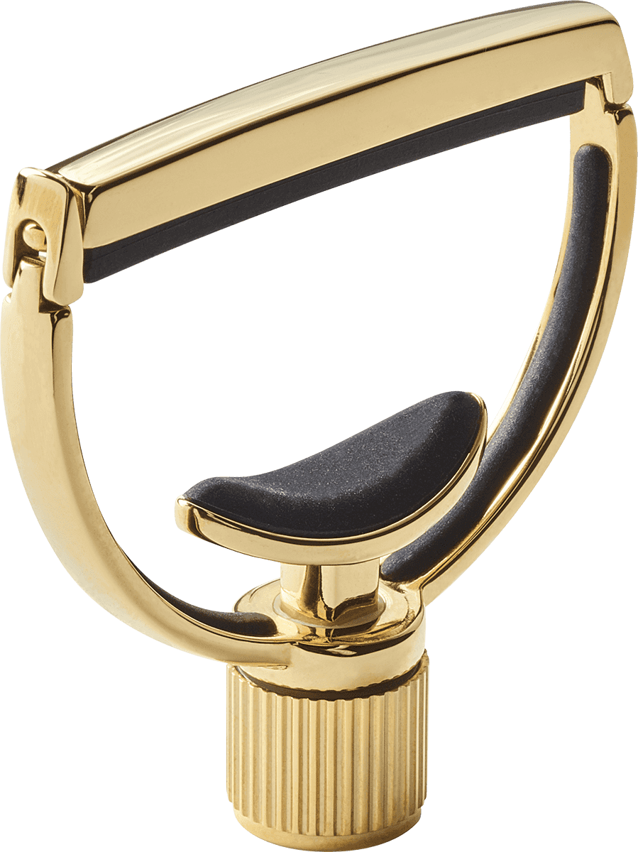 Heritage Chitarra Style 1 Standard Oro