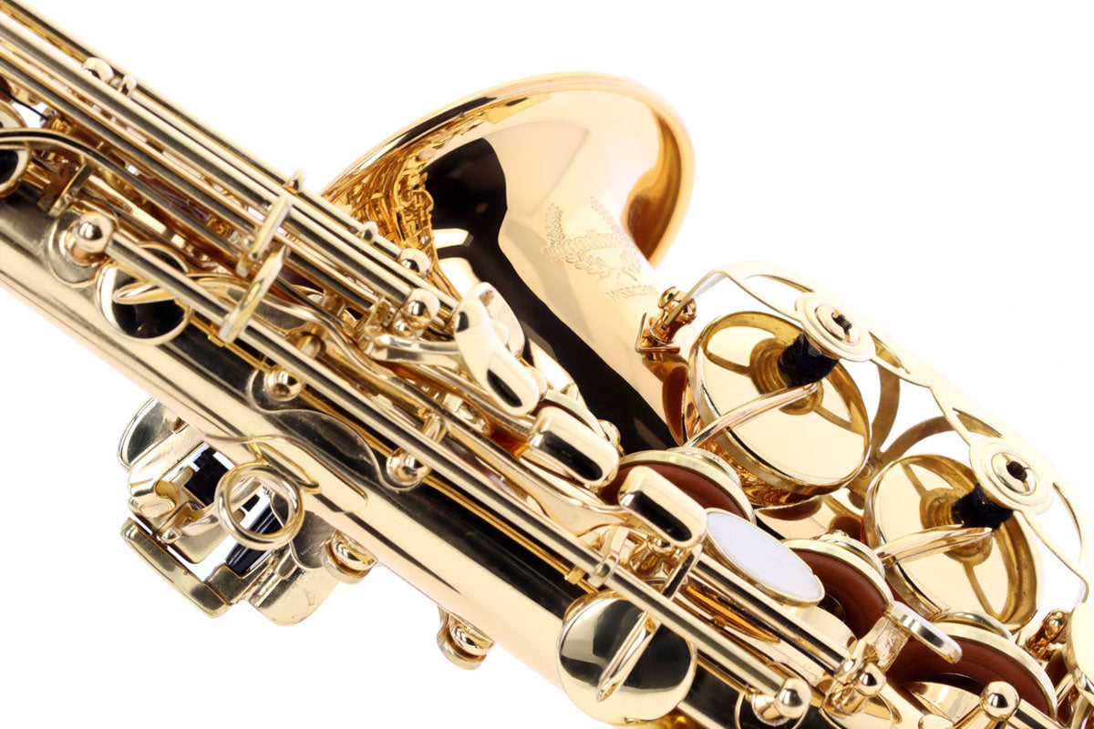WSSC300 - Soprano Courbe Si b Verni