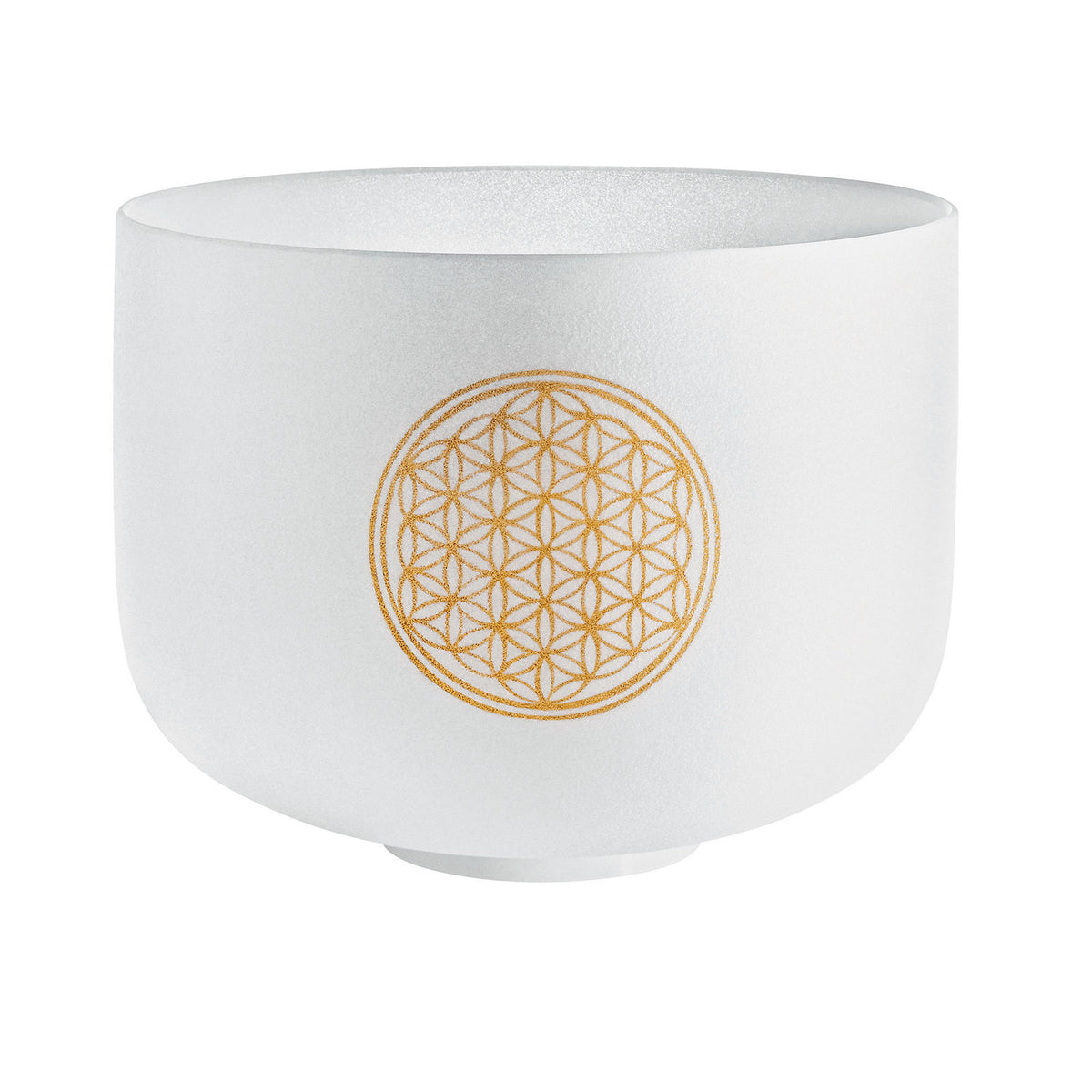 Singing Bowl Sonic Energy Cristal 10"