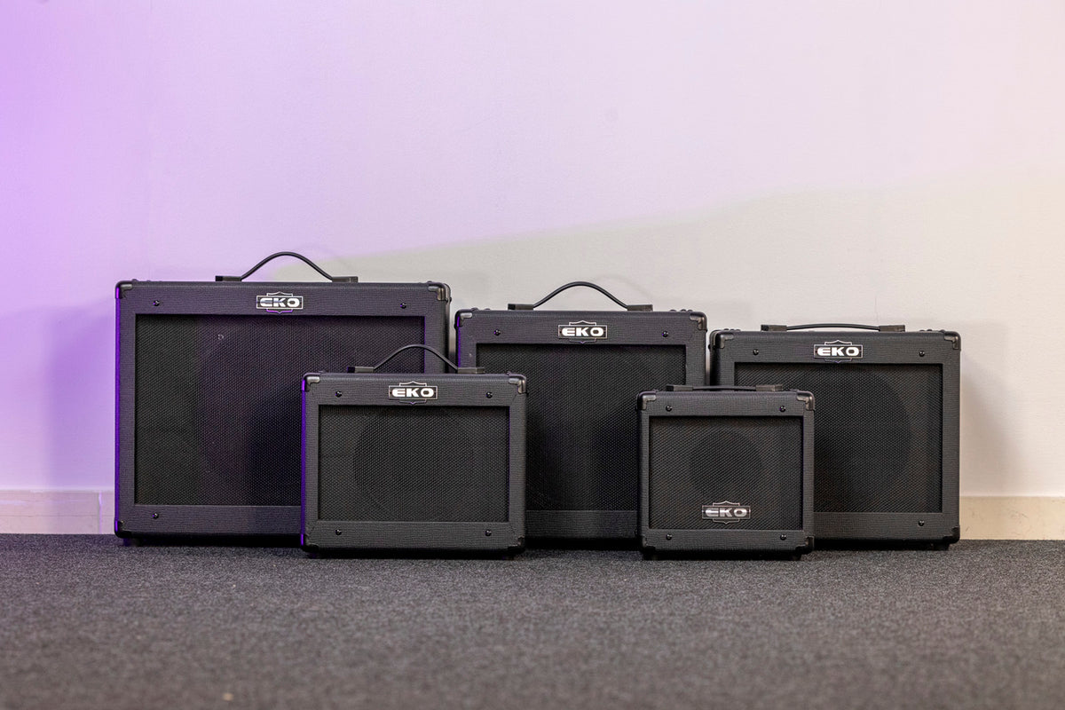 2 channels + FX loop + Reverb - 10" speaker - 25W