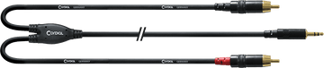 Cavo Y Bretella Minijack/RCA 6 M