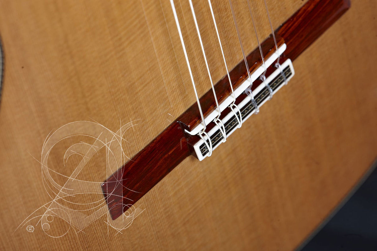 Professional Luthier Linea Profesional + 9650 Bam Iconic Case
