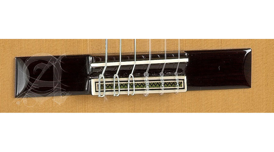 Concert 8P + 9557 Case