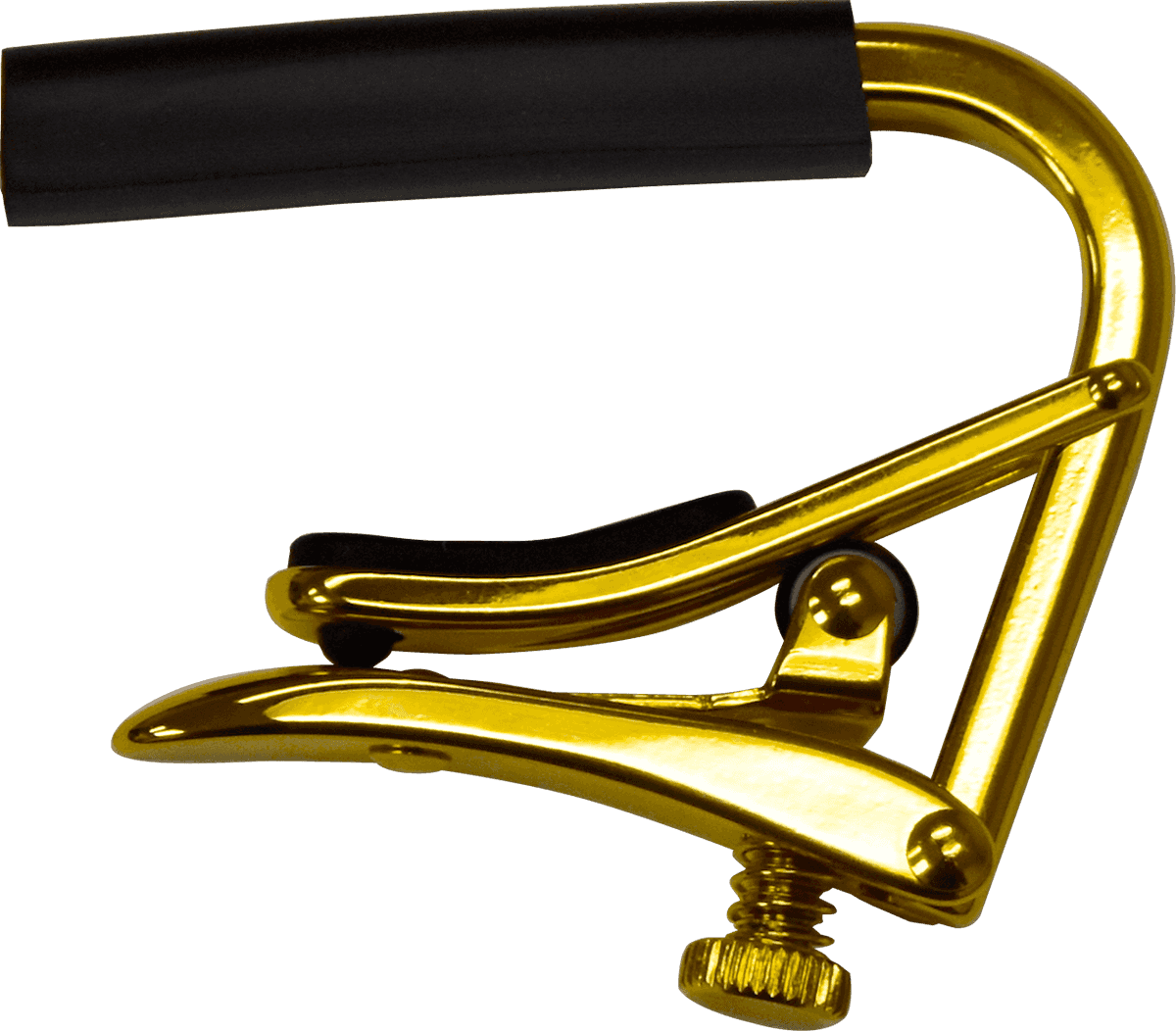 Oro banjo