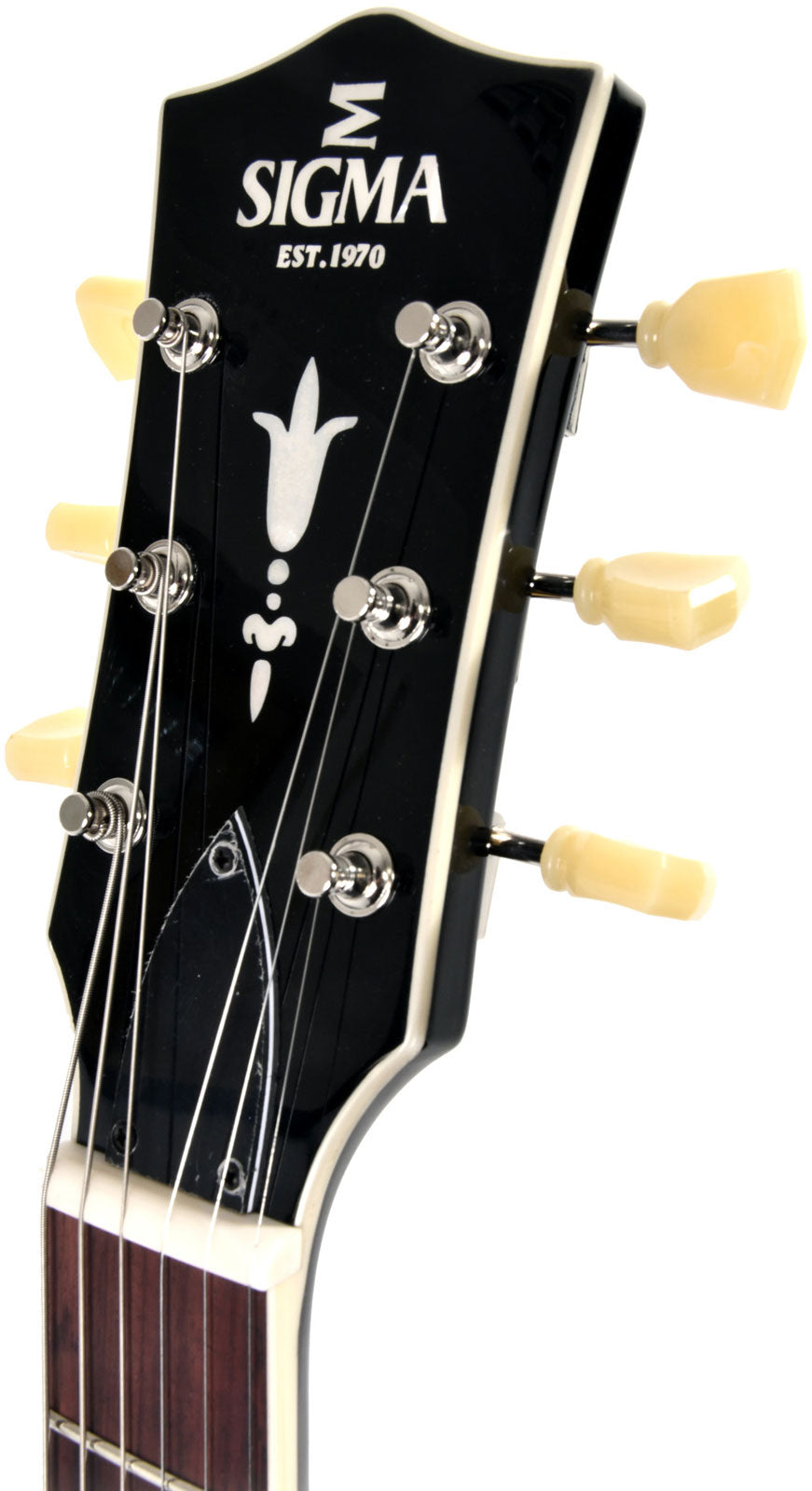 Hollowbody Hba-102P-Bk