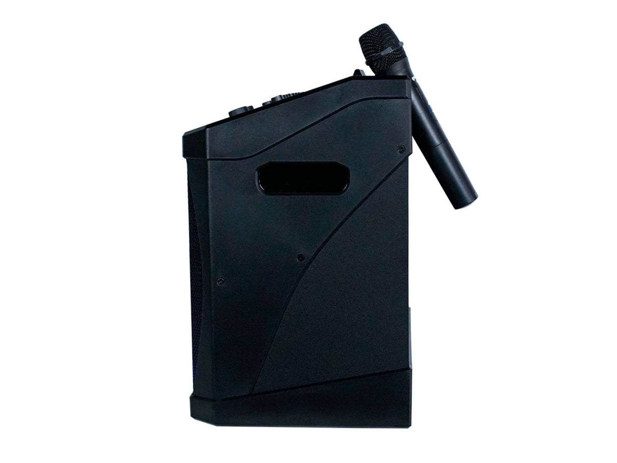 KP800-pro - Systme Karaok 160W