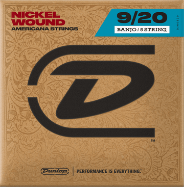 DJN0920